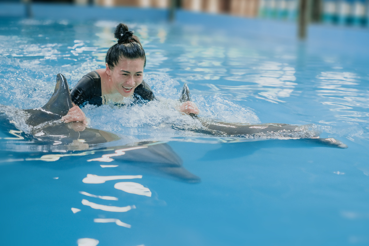 DOLPHIN EXPERIENCE